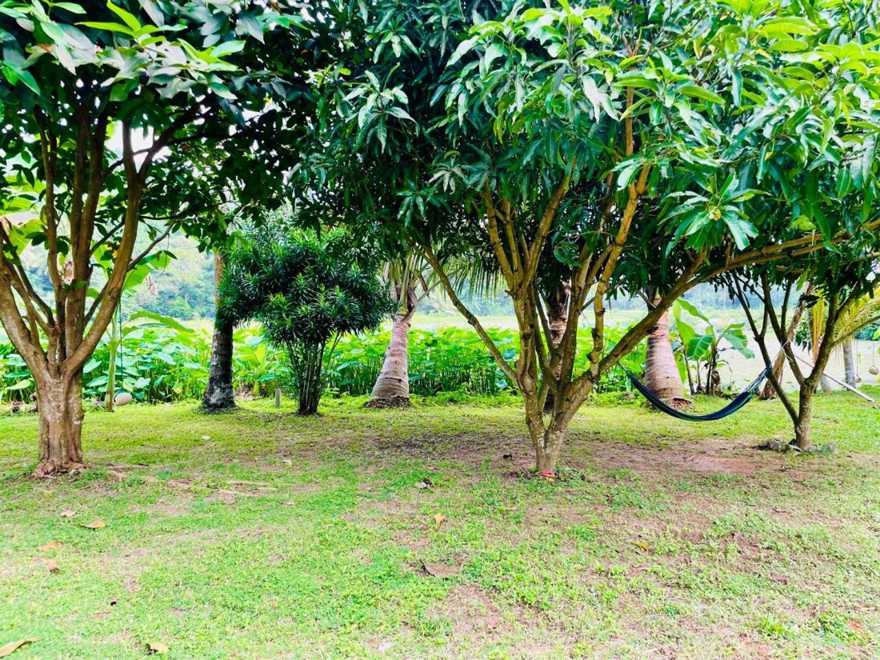 Secret Garden Mirissa Villa Buitenkant foto